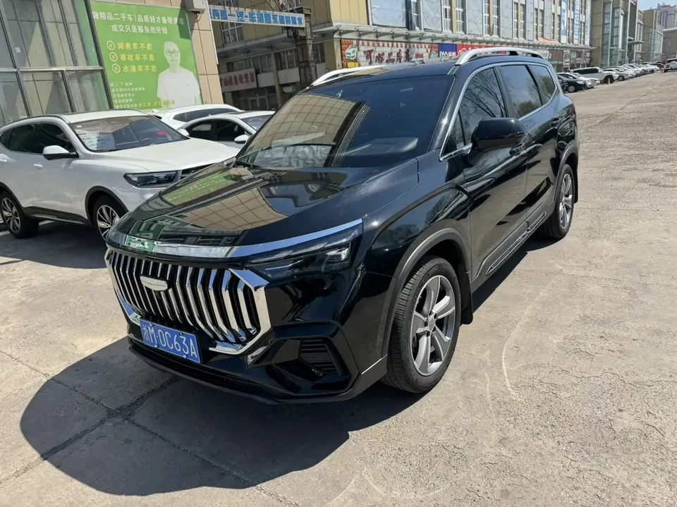 Geely Okavango Haoyue L 2024 2.0TD DCT Premium 2025 — photo 1, buy with delivery to Moscow