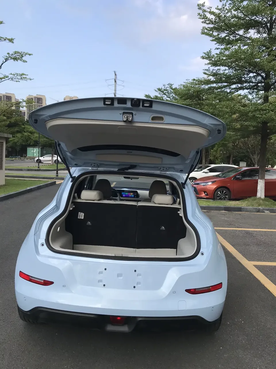 ORA Euler good cat Euler good cat 2023 401km standard endurance luxury lithium iron phosphate 2024 — thumbnail 3