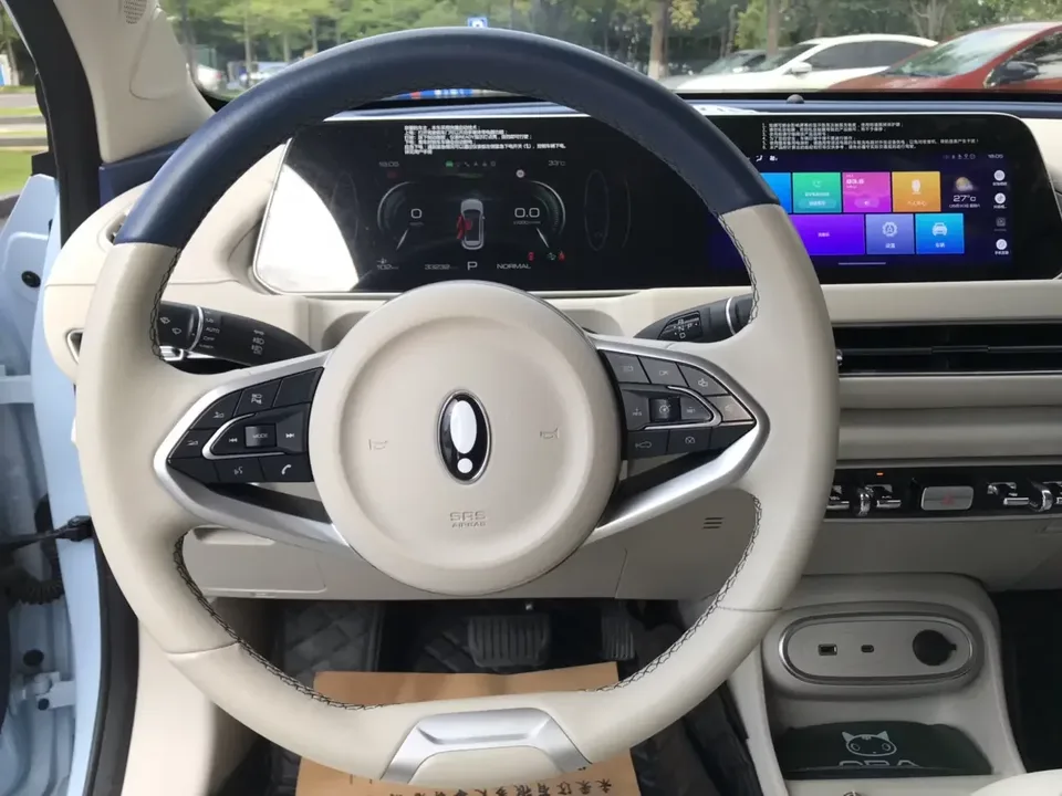 ORA Euler good cat Euler good cat 2023 401km standard endurance luxury lithium iron phosphate 2024 — thumbnail 5