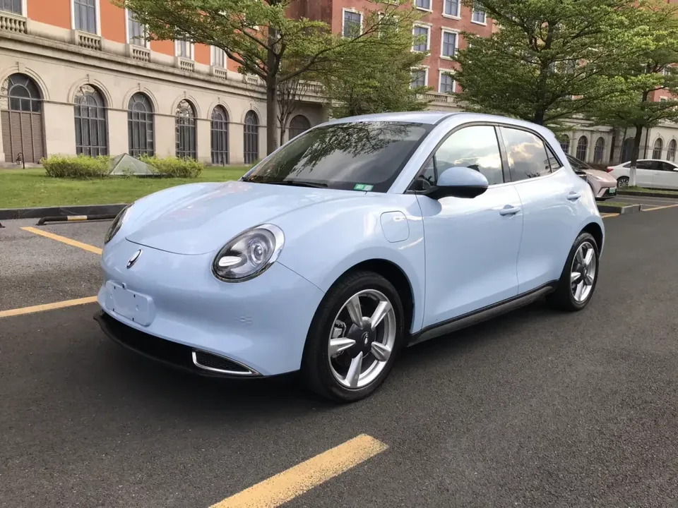 ORA Euler good cat Euler good cat 2023 401km standard endurance luxury lithium iron phosphate 2024 — photo 1, buy with delivery to Moscow