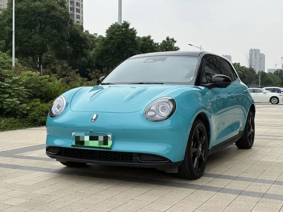 ORA Euler good cat Euler good cat 2024 401km Anniversary Edition 2025 — photo 1, buy with delivery to Moscow