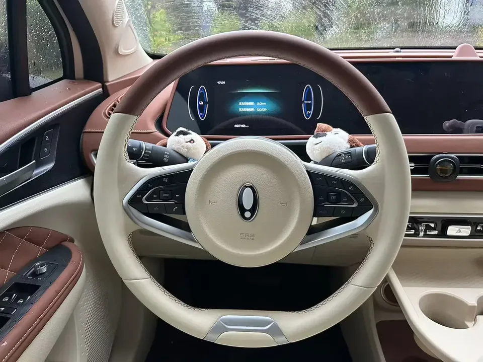 ORA Euler good cat Euler good cat 2023 401km standard endurance luxury lithium iron phosphate 2023 — thumbnail 3