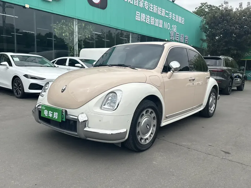 ORA Euler ballet cat Euler ballet cat 2023 401km Premium Edition 2023 — photo 1, buy with delivery to Moscow