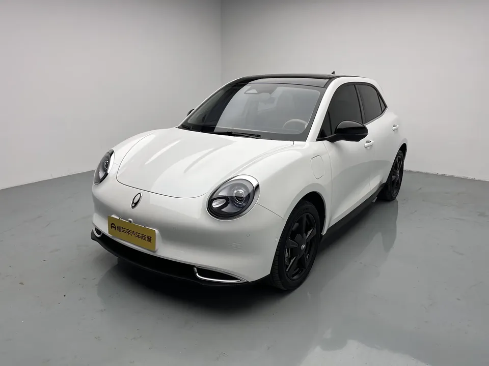 ORA Euler good cat Euler good cat 2024 401km Premium 126kW 2024 — photo 1, buy with delivery to Moscow