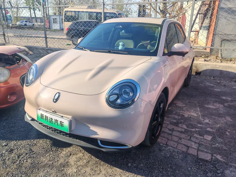 ORA Euler good cat Euler good cat 2024 401km Luxury 2024 — photo 1, buy with delivery to Moscow