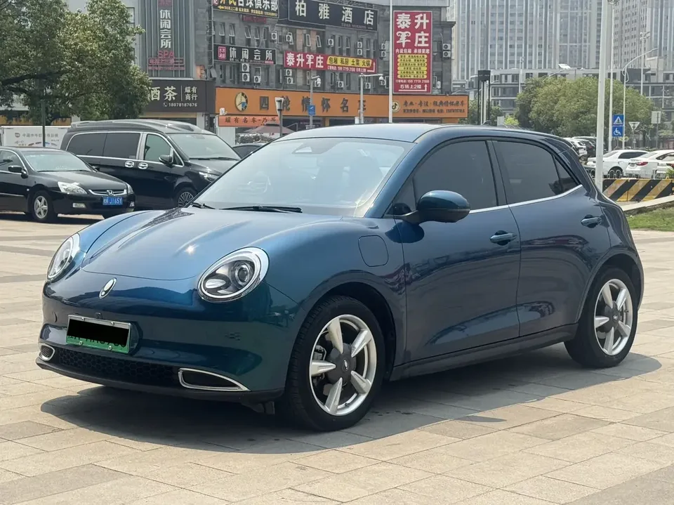 ORA Euler good cat Euler good cat 2023 401km standard endurance luxury lithium iron phosphate 2023 — photo 1, buy with delivery to Moscow