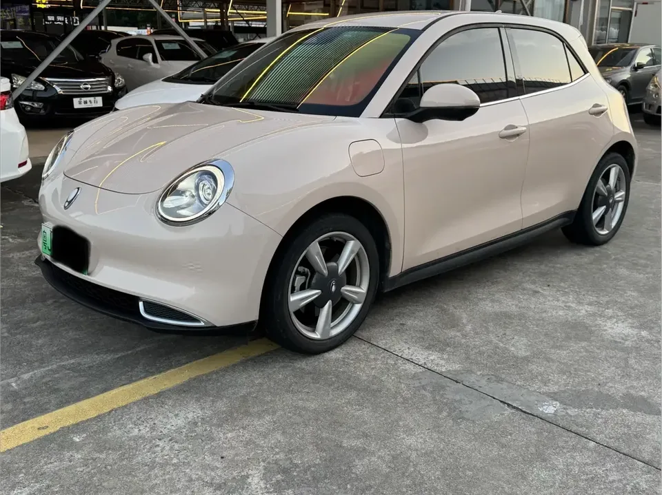 ORA Euler good cat Euler good cat 2023 401km standard endurance luxury ternary lithium 2023 — photo 1, buy with delivery to Moscow