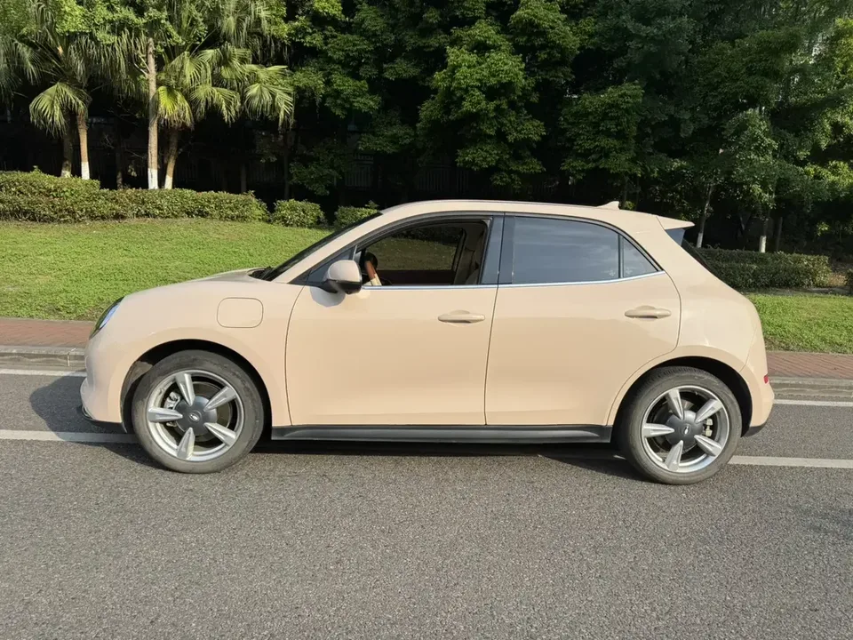 ORA Euler good cat Euler good cat 2023 401km standard endurance luxury ternary lithium 2023 — thumbnail 4