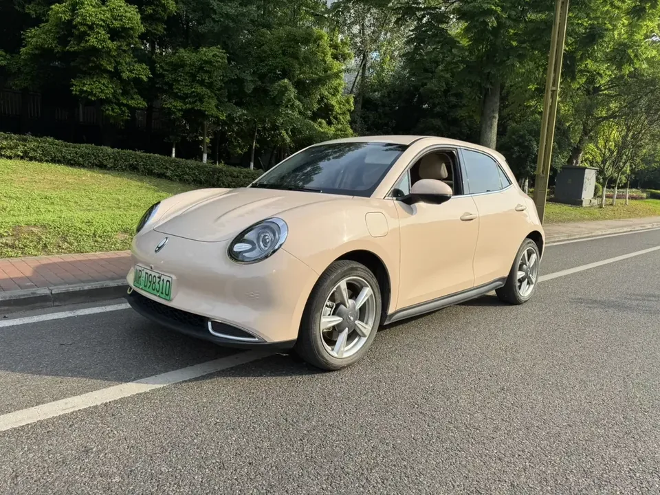ORA Euler good cat Euler good cat 2023 401km standard endurance luxury ternary lithium 2023 — photo 1, buy with delivery to Moscow