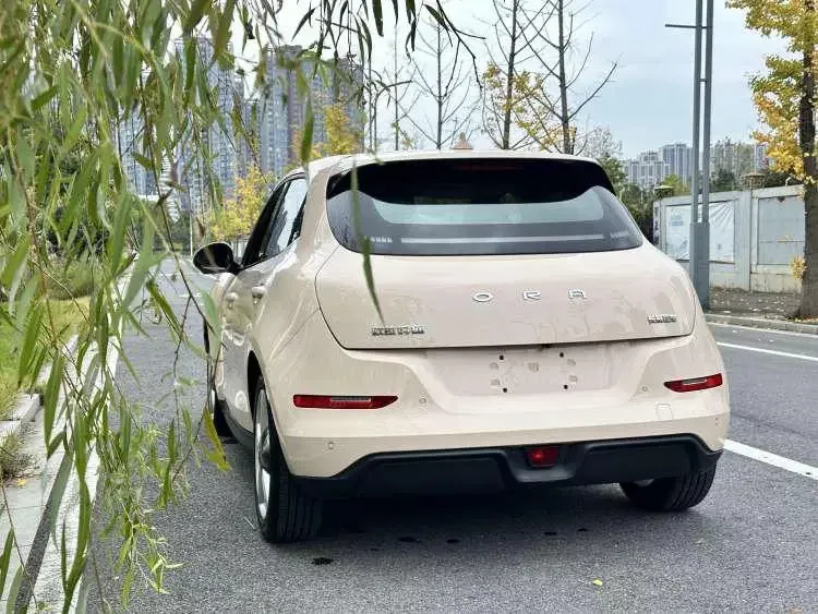ORA Euler good cat Euler good cat 2023 401km standard endurance luxury lithium iron phosphate 2023 — thumbnail 4