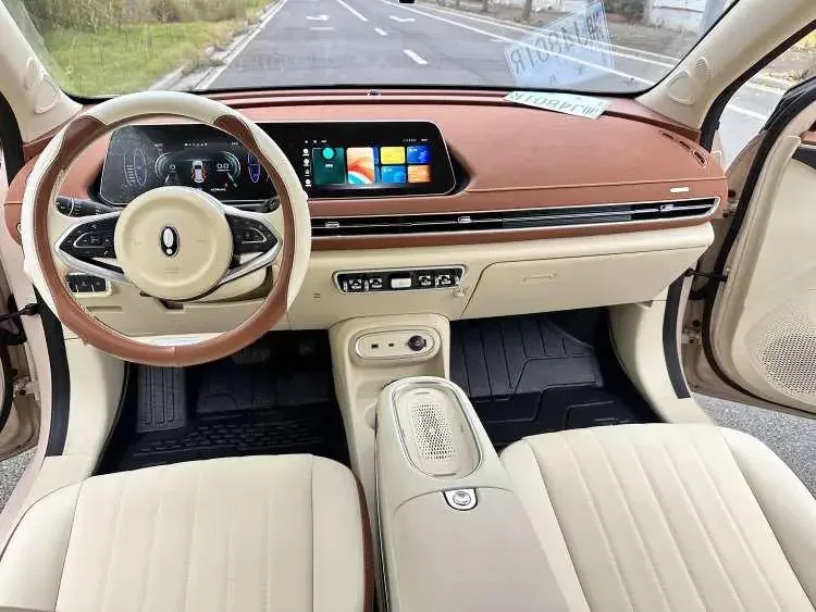 ORA Euler good cat Euler good cat 2023 401km standard endurance luxury lithium iron phosphate 2023 — thumbnail 5