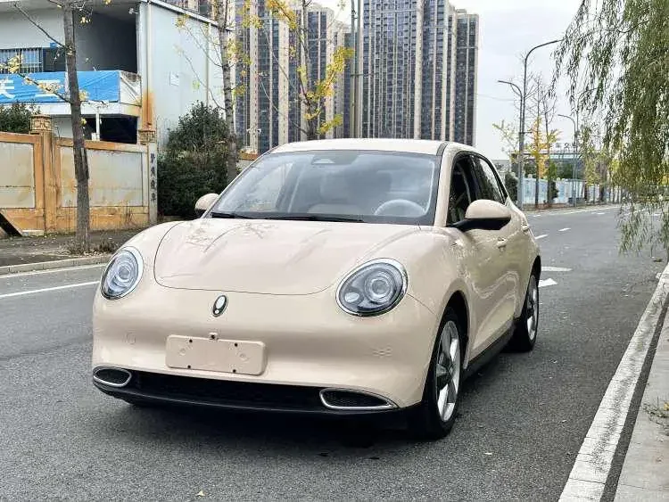 ORA Euler good cat Euler good cat 2023 401km standard endurance luxury lithium iron phosphate 2023 — photo 1, buy with delivery to Moscow