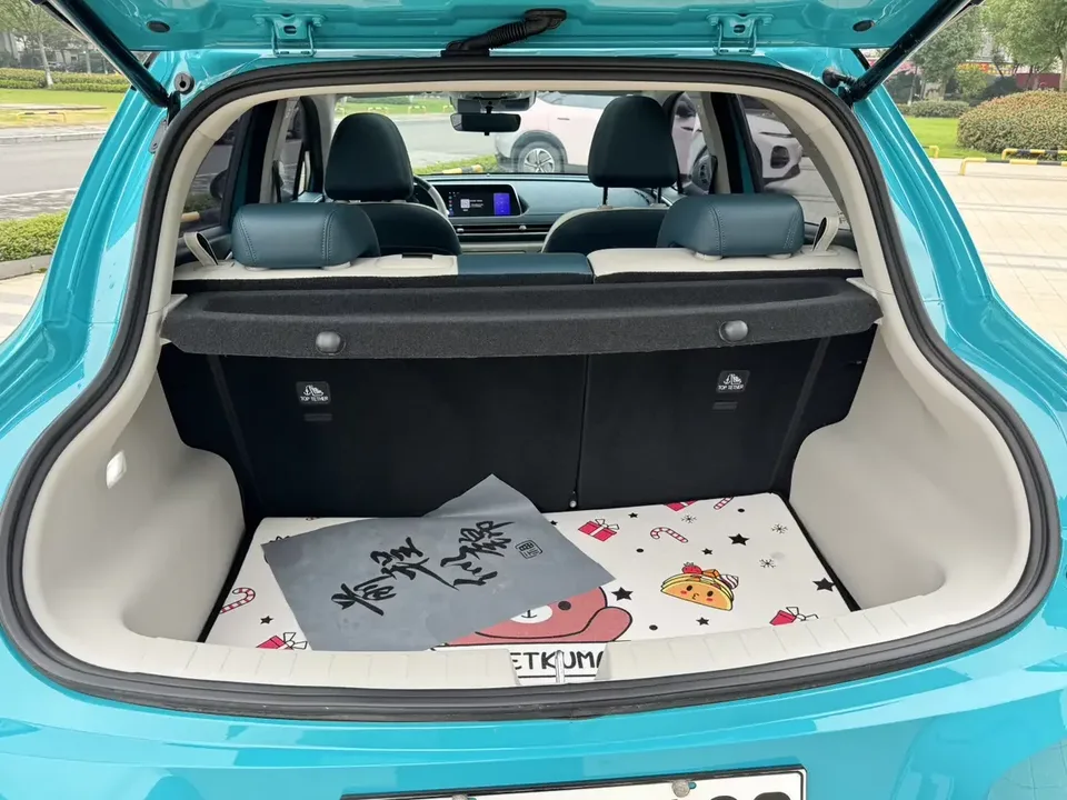 ORA Euler good cat Euler good cat 2024 401km Premium 2025 — миниатюра 4