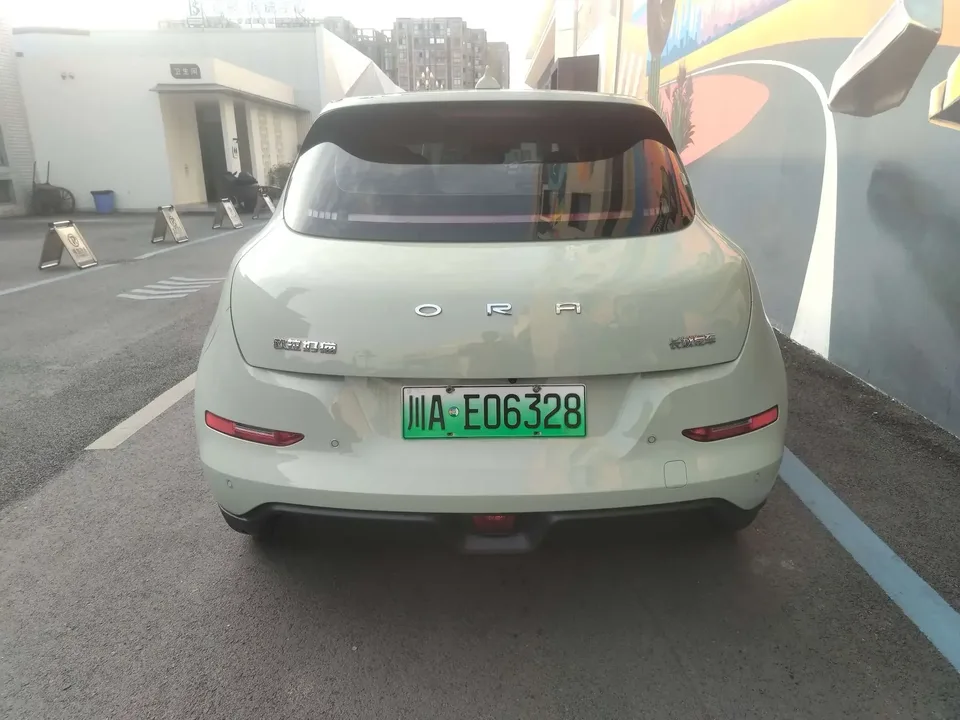 ORA Euler good cat Euler good cat 2023 401km standard endurance luxury lithium iron phosphate 2023 — миниатюра 2