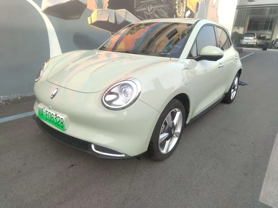 ORA Euler good cat Euler good cat 2023 401km standard endurance luxury lithium iron phosphate 2023 — фото 1, купить с доставкой в Москву