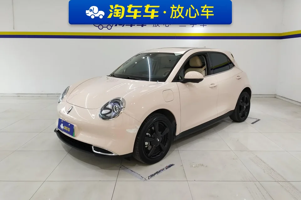 ORA Euler good cat Euler good cat 2024 401km Luxury 2024 — photo 1, buy with delivery to Moscow