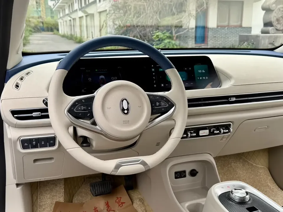 ORA Euler good cat Euler good cat 2022 Morandi version 400km standard range luxury lithium iron phosphate 2023 — thumbnail 5