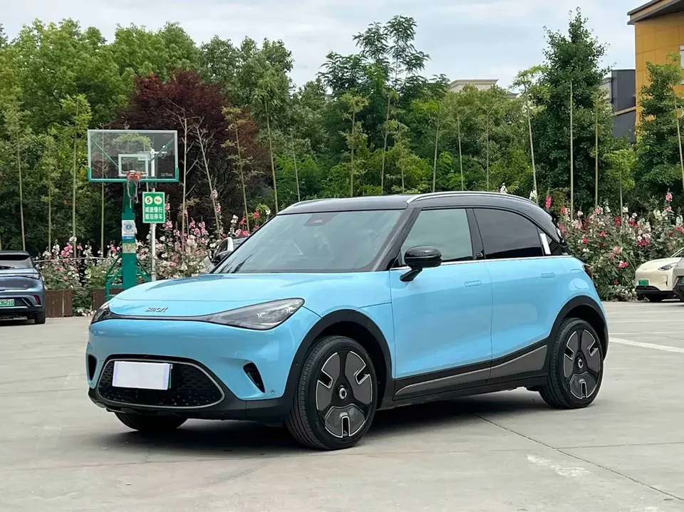 Smart Elf #1 smart elf #1 2022 Premium 2022 — photo 1, buy with delivery to Moscow