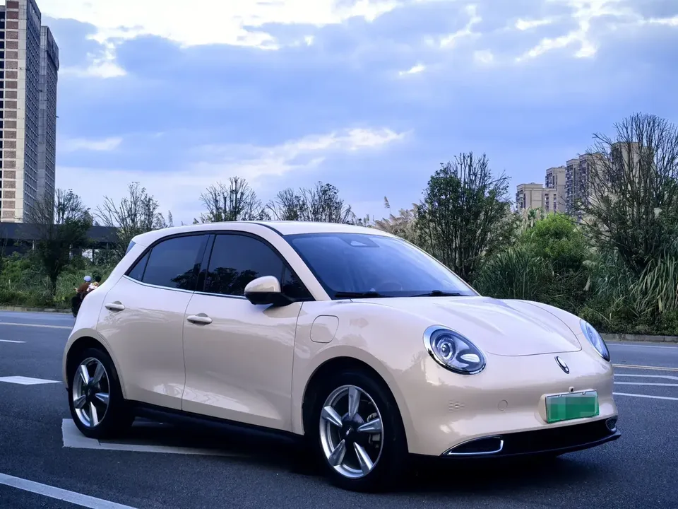 ORA Euler good cat Euler good cat 2022 400km standard endurance premium lithium iron phosphate 2023 — thumbnail 3