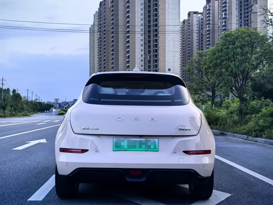 ORA Euler good cat Euler good cat 2022 400km standard endurance premium lithium iron phosphate 2023 — thumbnail 5