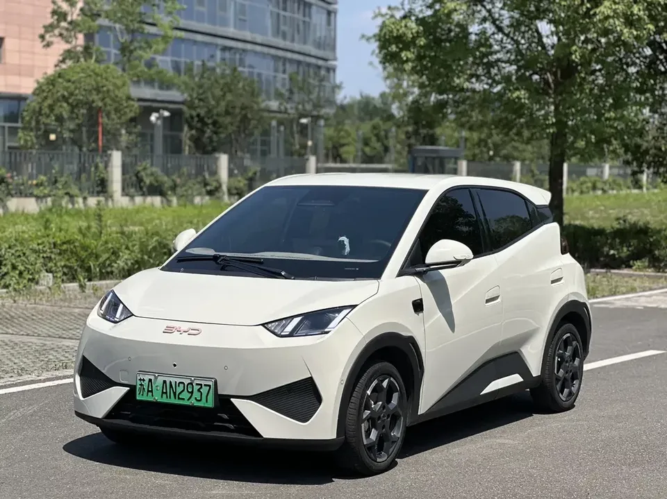 BYD Seagull seagull 2025 Smart Driving Edition 305KM Free Edition 2025 — photo 1, buy with delivery to Moscow