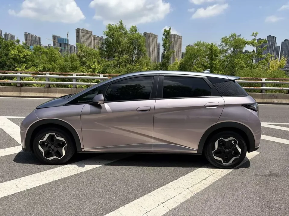BYD Dolphin dolphin 2021 Free version 2022 — thumbnail 4