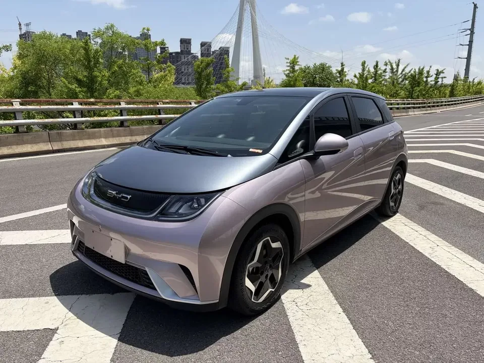 BYD Dolphin dolphin 2021 Free version 2022 — photo 1, buy with delivery to Moscow