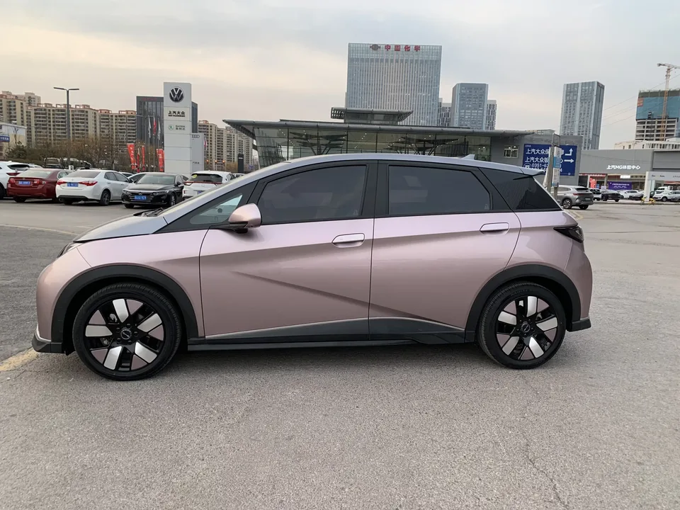 BYD Dolphin dolphin 2021 Knight Edition 2022 — thumbnail 4