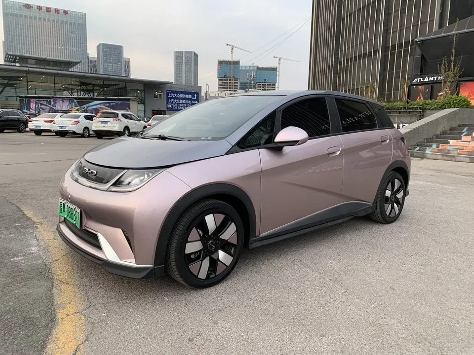 BYD Dolphin dolphin 2021 Knight Edition 2022 — photo 1, buy with delivery to Moscow