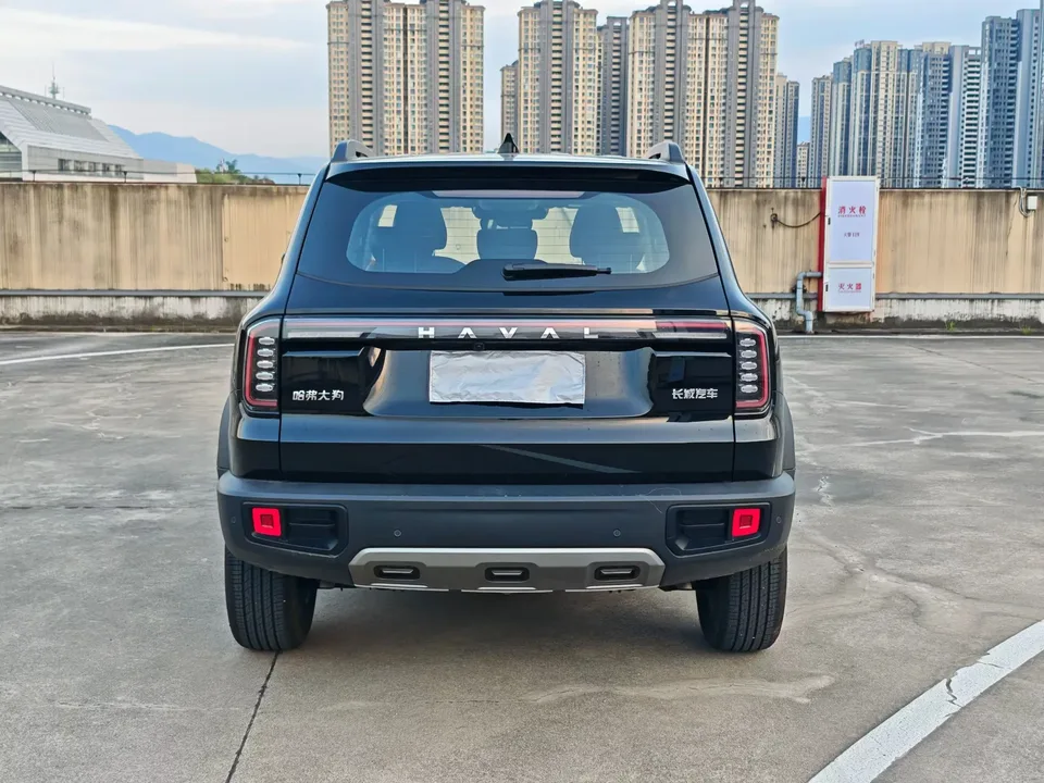 Haval Dargo Harvard dog 2024 1.5T 2WD Border Collie Edition 2024 — thumbnail 2