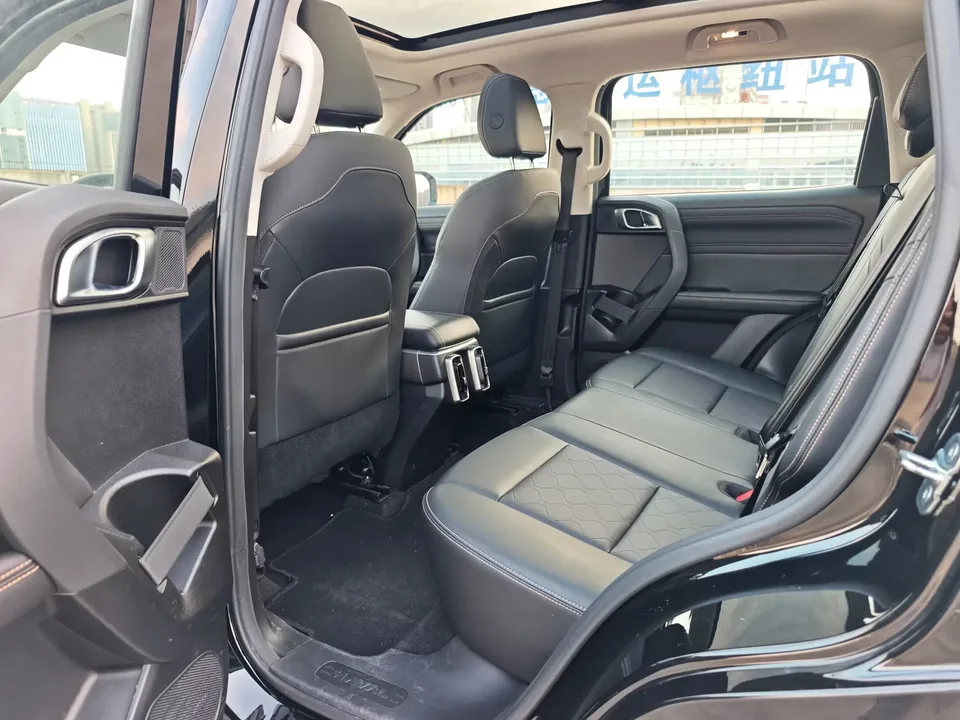 Haval Dargo Harvard dog 2024 1.5T 2WD Border Collie Edition 2024 — thumbnail 3