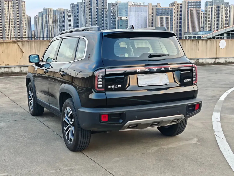 Haval Dargo Harvard dog 2024 1.5T 2WD Border Collie Edition 2024 — thumbnail 4