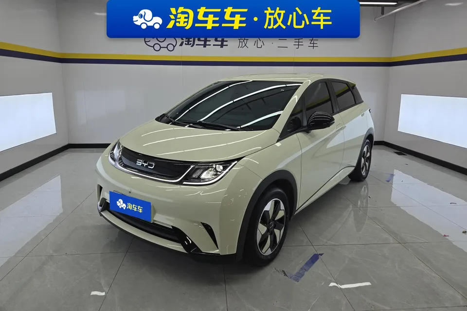 BYD Dolphin dolphin 2025 420KM Free Edition 2025 — photo 1, buy with delivery to Moscow