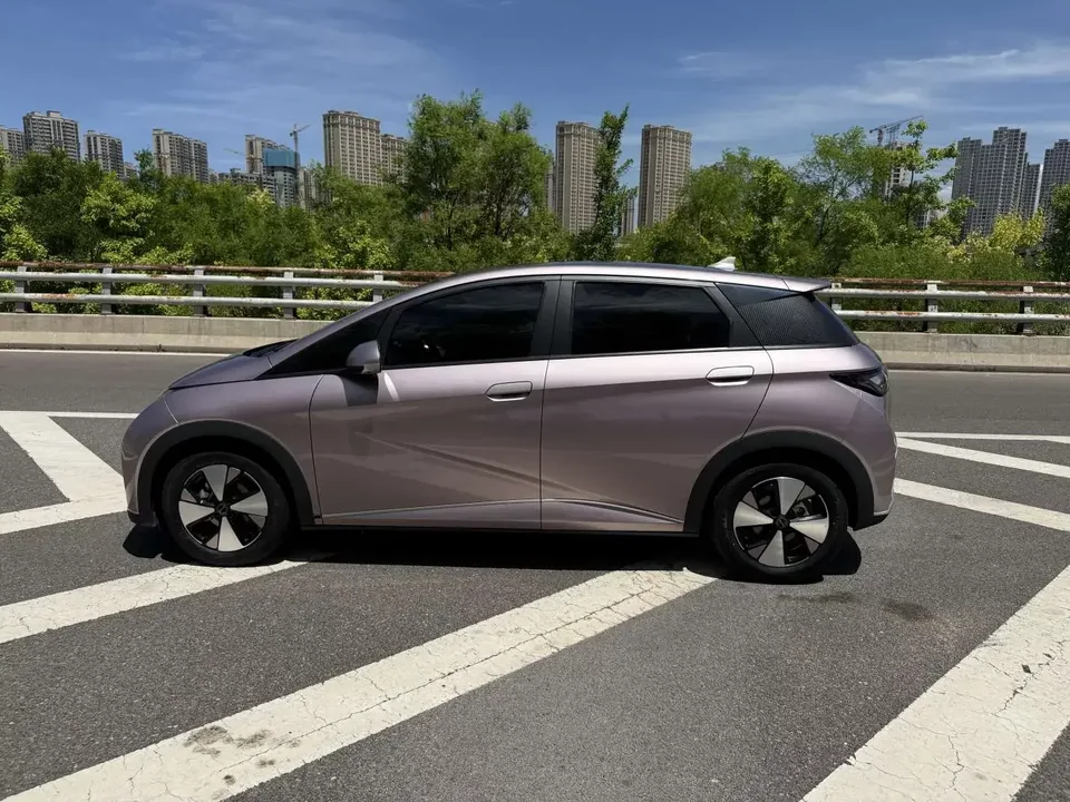BYD Dolphin dolphin 2023 Free version 2023 — thumbnail 4