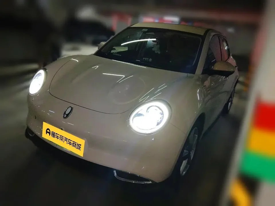 ORA Euler good cat Euler good cat 2023 401km standard endurance luxury lithium iron phosphate 2024 — photo 1, buy with delivery to Moscow
