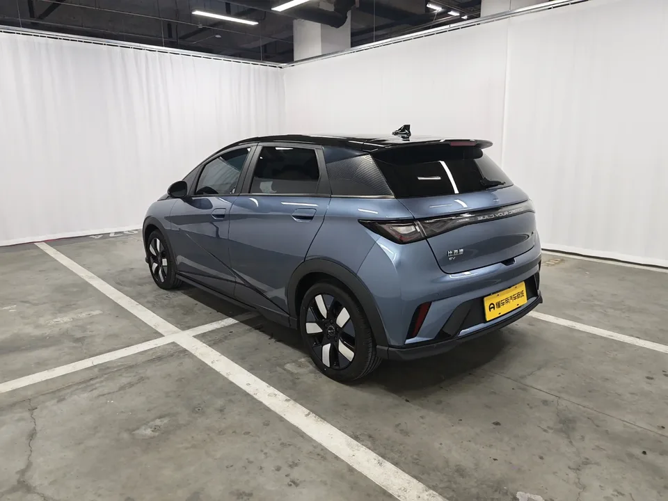 BYD Dolphin dolphin 2024 Glory Edition 401km Knight Edition 2024 — thumbnail 2