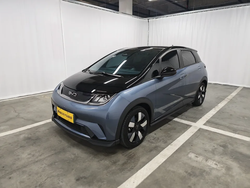 BYD Dolphin dolphin 2024 Glory Edition 401km Knight Edition 2024 — photo 1, buy with delivery to Moscow