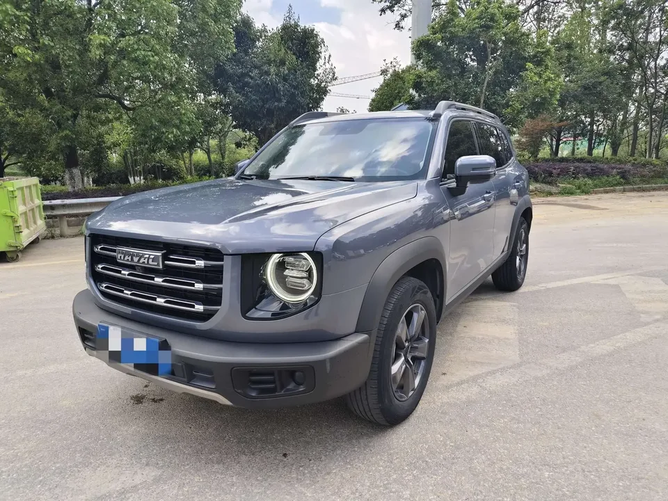Haval Dargo Harvard dog 2022 1.5T 2WD Labrador Edition 2023 — фото 1, купить с доставкой в Москву