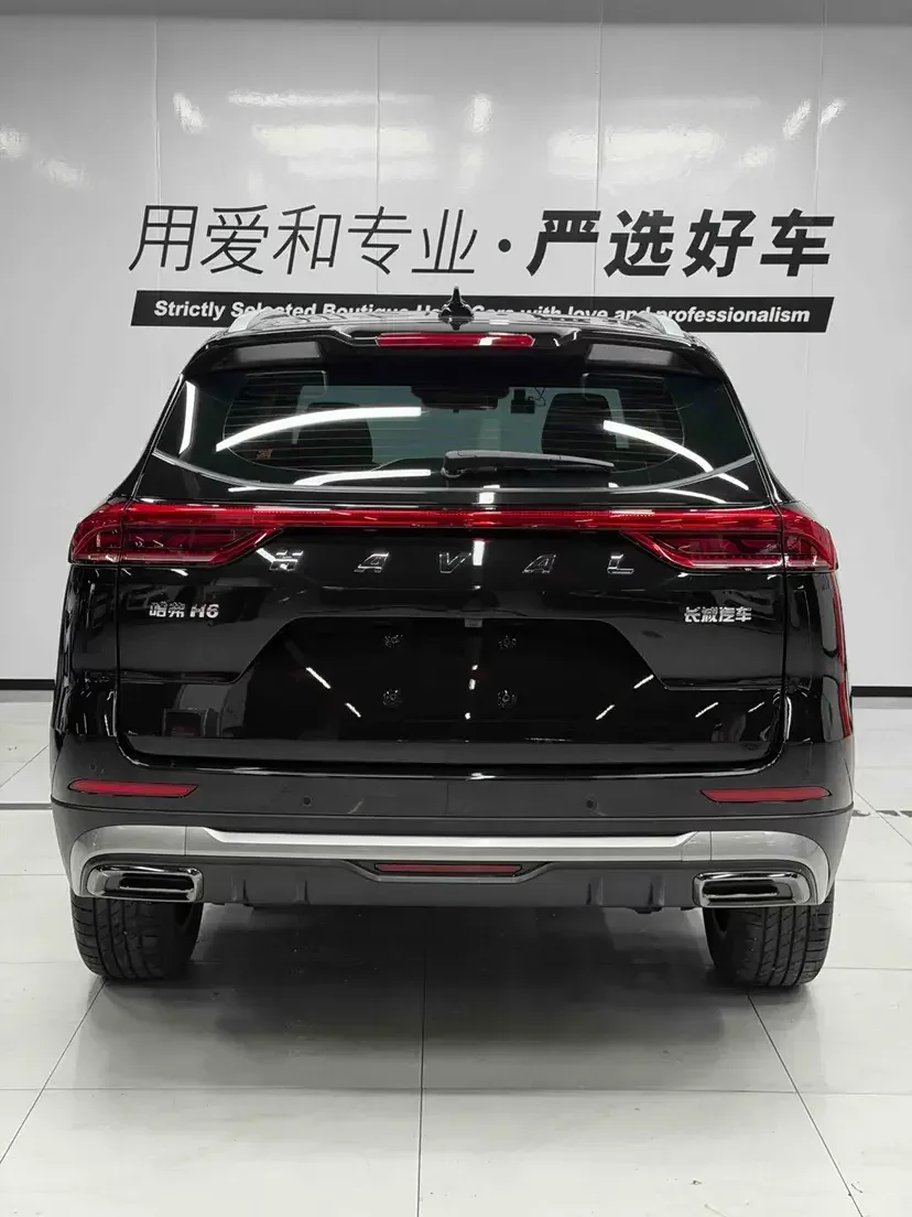 Haval H6 Haval H6 2023 National Trend Edition 1.5T Automatic Champion Edition 2024 — миниатюра 5