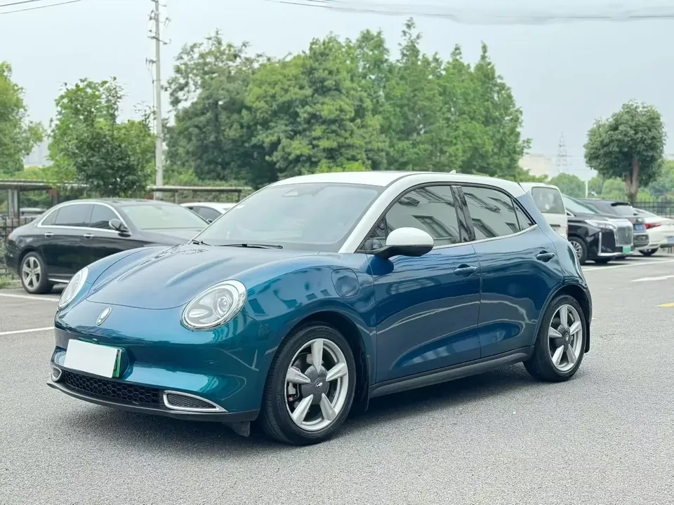 ORA Euler good cat Euler good cat 2021 400km standard endurance business version ternary lithium battery 2022 — photo 1, buy with delivery to Moscow