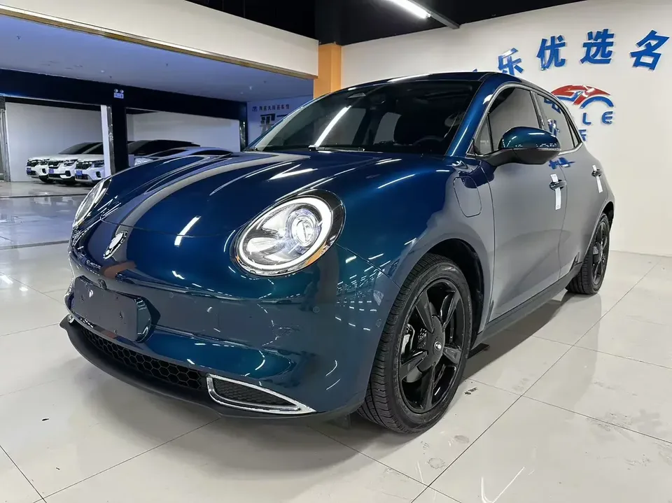 ORA Euler good cat Euler good cat 2024 401km Premium 2024 — photo 1, buy with delivery to Moscow