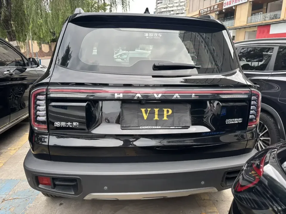 Haval Dargo Harvard dog 2024 1.5T 2WD Border Collie Edition 2024 — thumbnail 2