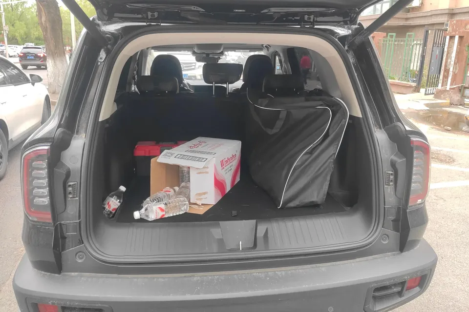 Haval Dargo Harvard dog 2024 1.5T 2WD Border Collie Edition 2024 — thumbnail 5