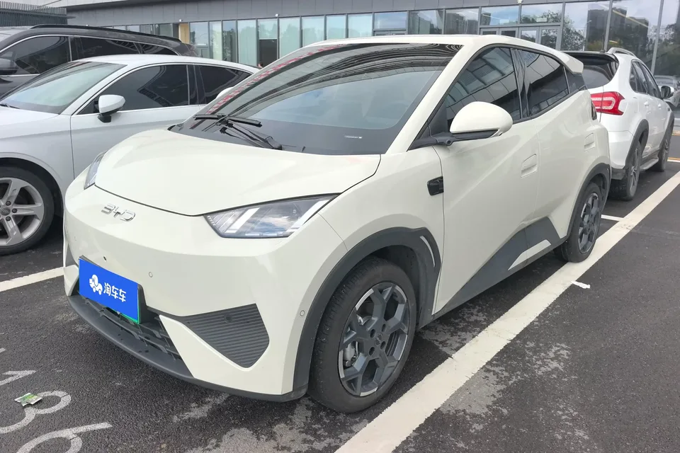 BYD Seagull seagull 2025 Smart Driving Edition 305KM Free Edition 2025 — photo 1, buy with delivery to Moscow