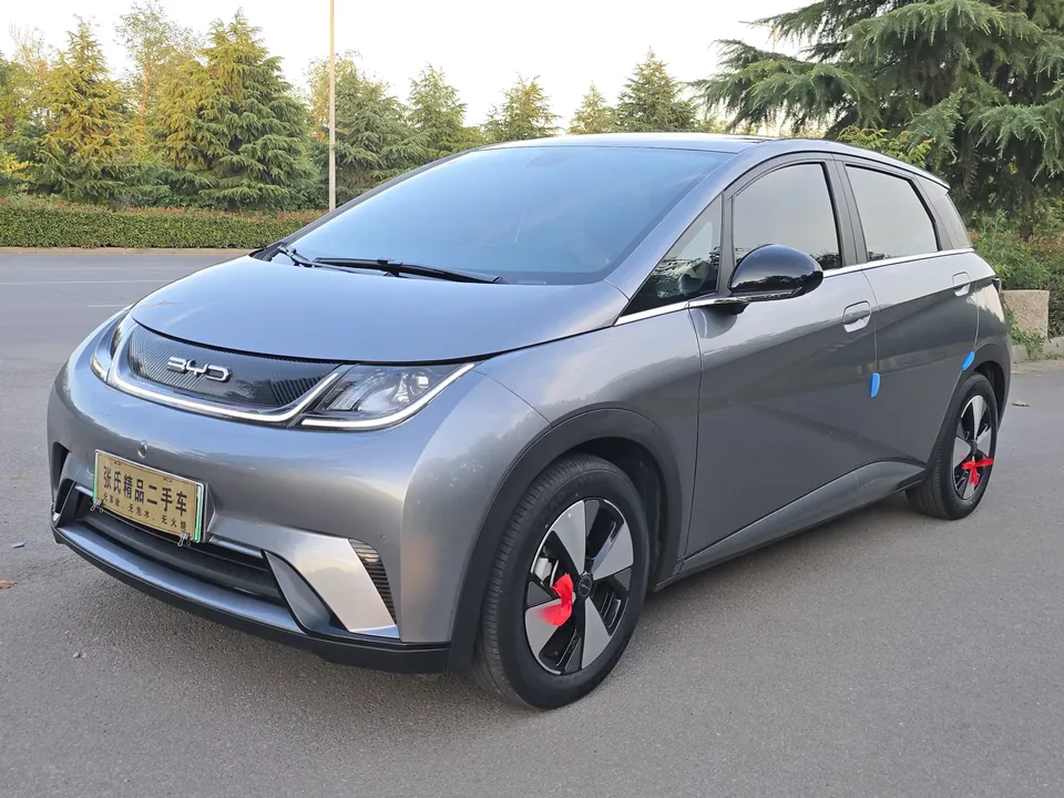 BYD Dolphin dolphin 2023 Fashion version 2024 — photo 1, buy with delivery to Moscow