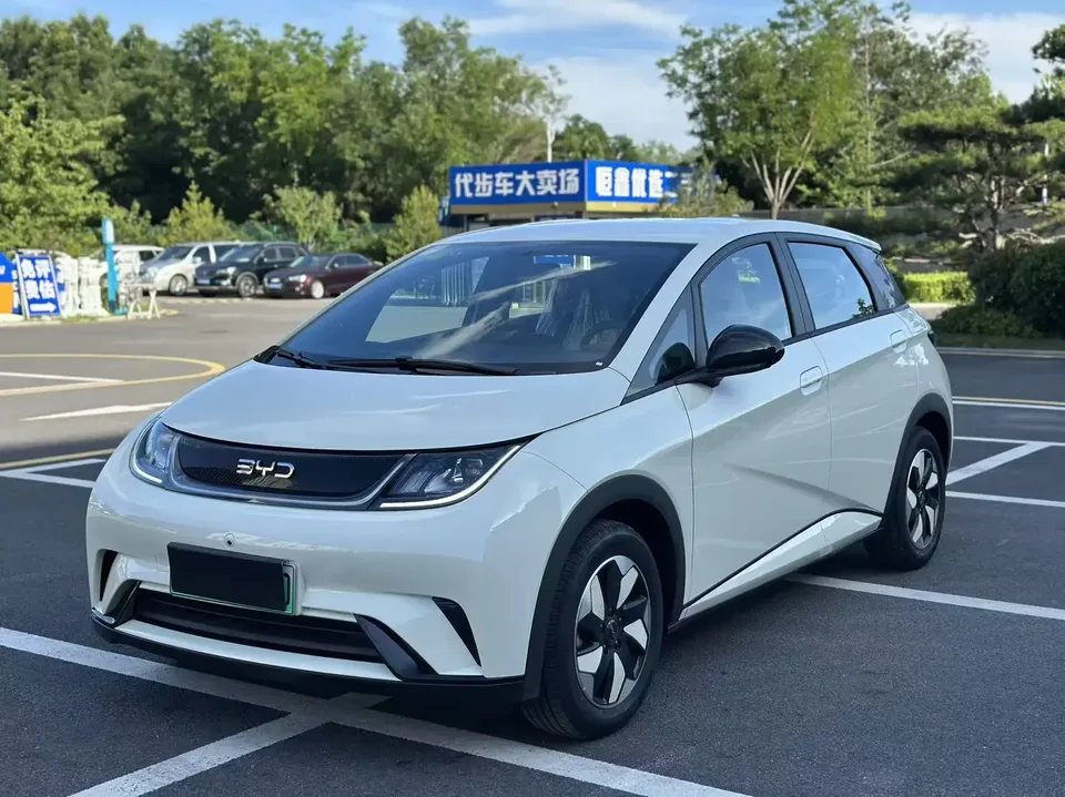 BYD Dolphin dolphin 2025 420KM Free Edition 2026 — photo 1, buy with delivery to Moscow