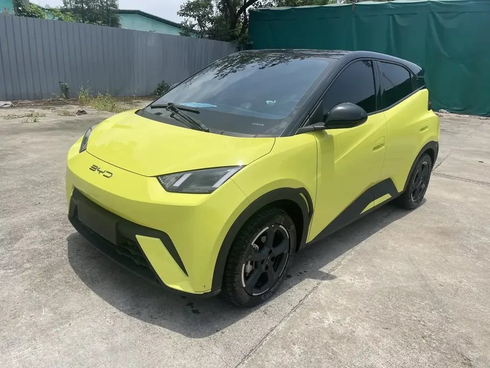 BYD Seagull seagull 2023 Flying version 2024 — photo 1, buy with delivery to Moscow