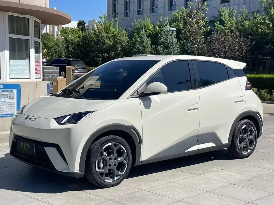 BYD Seagull seagull 2024 Honor Edition 305KM Vitality Edition 2025 — photo 1, buy with delivery to Moscow