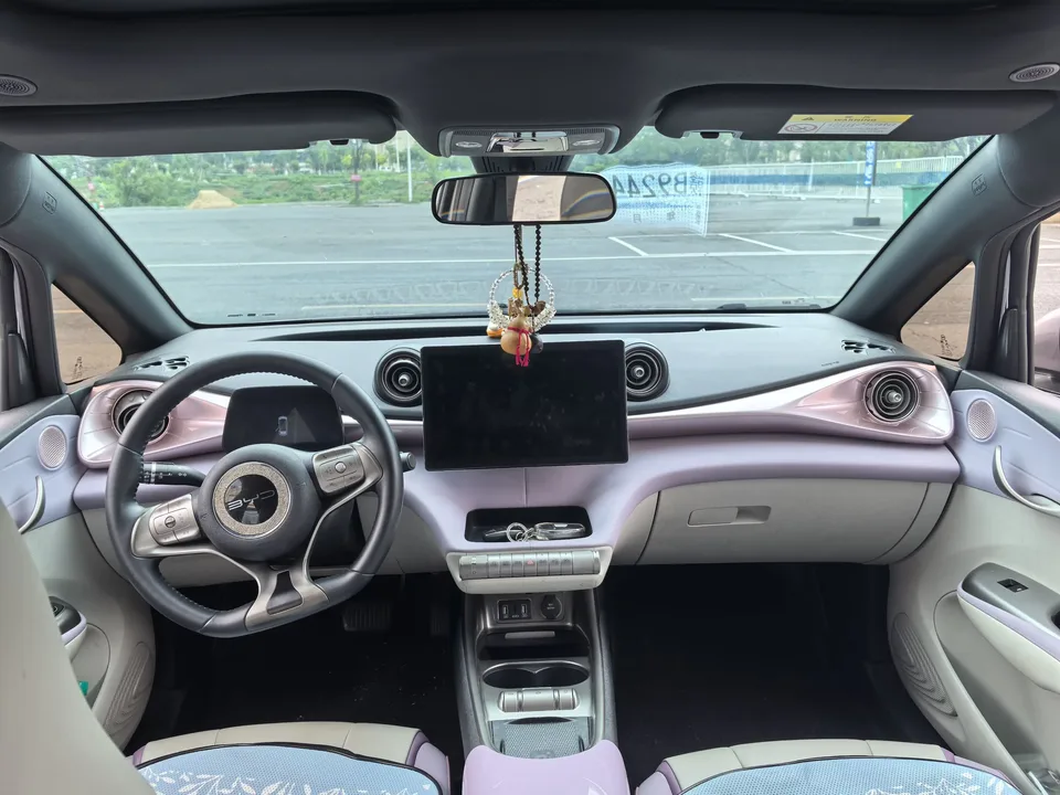 BYD Dolphin dolphin 2021 Fashion version 2022 — thumbnail 2
