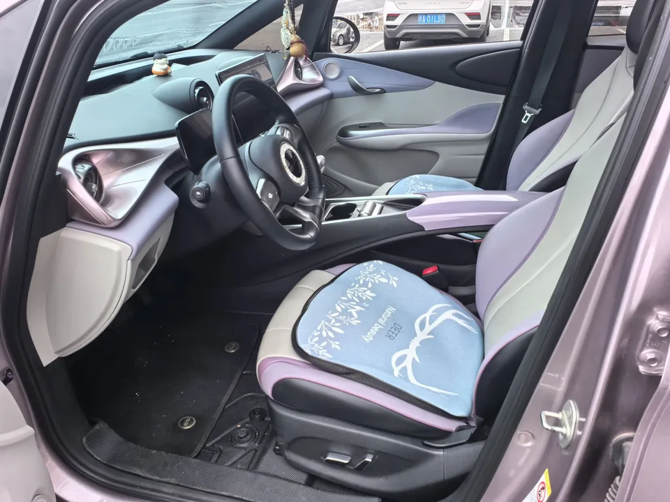 BYD Dolphin dolphin 2021 Fashion version 2022 — thumbnail 5